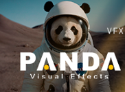 PANDA VISUAL EFFECTS LTDA