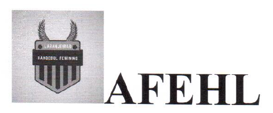 AFEHL - HANDEBOL LARANJEIRAS DO SUL-PR