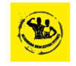 BEM ESTAR FITNESS ACADEMIA E ESPORTES